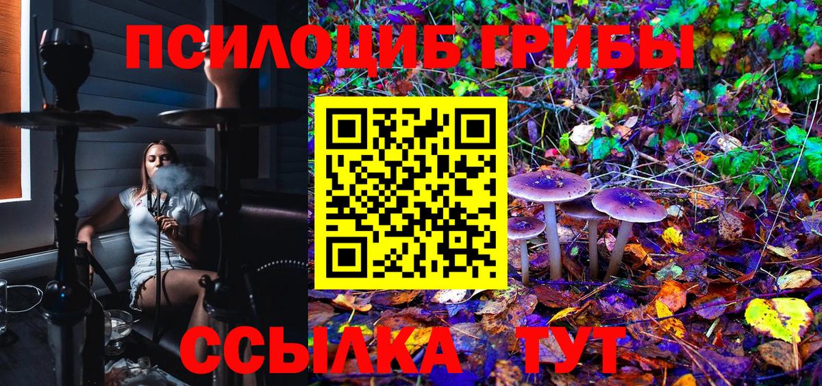 Галлюциногенные грибы Psilocybe Комсомольск-на-Амуре