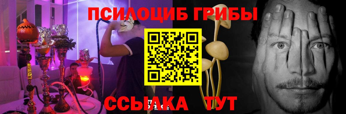 Комсомольск-на-Амуре  Галлюциногенные грибы Psilocybine cubensis  Вход с VPN 